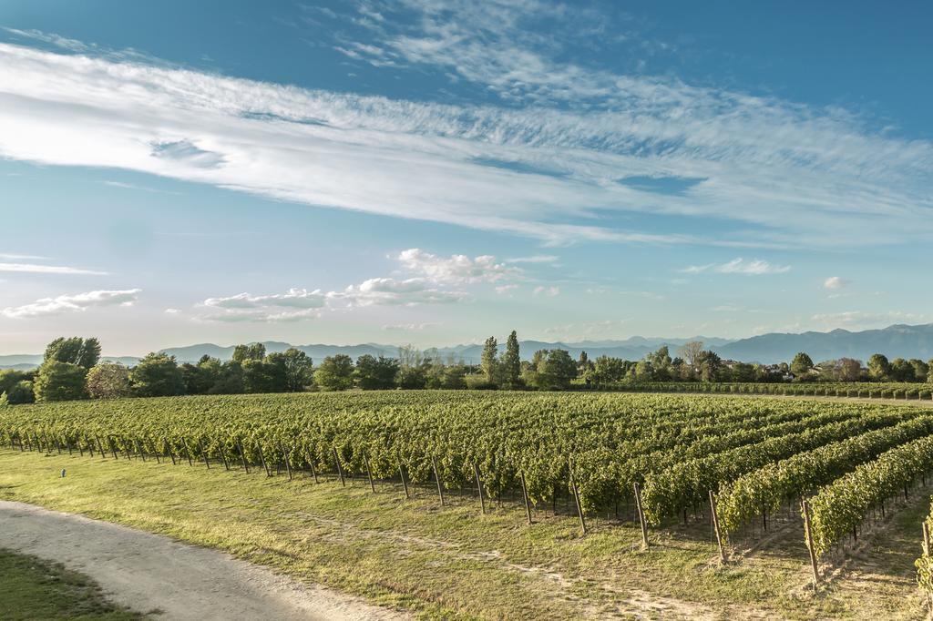 Вилла Cascina Borghetta Сирмионе Экстерьер фото